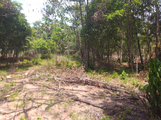 Vendo terreno - Foto 4