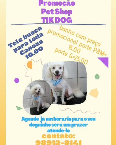 Promoção petshop