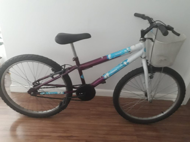 Bicicleta feminina