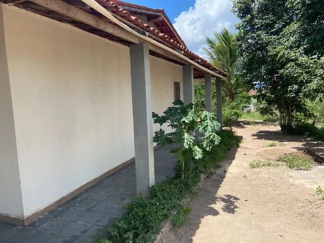 Chácara Em Bom Conselho - PE - Foto 8