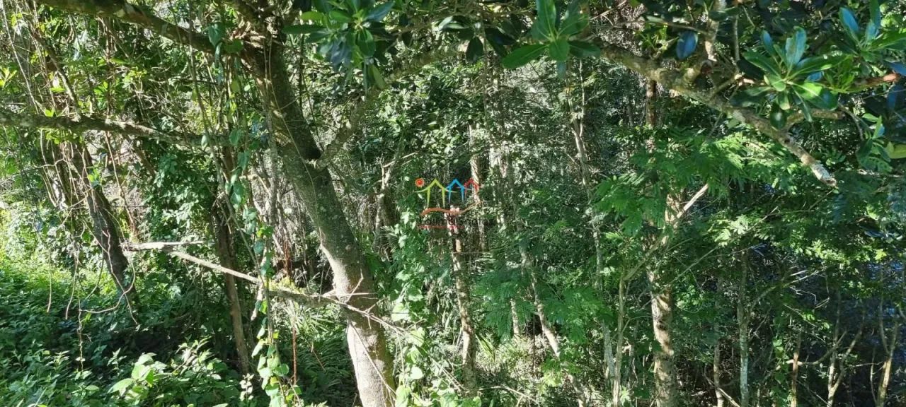 Terreno a venda em Ilhabela - Foto 3