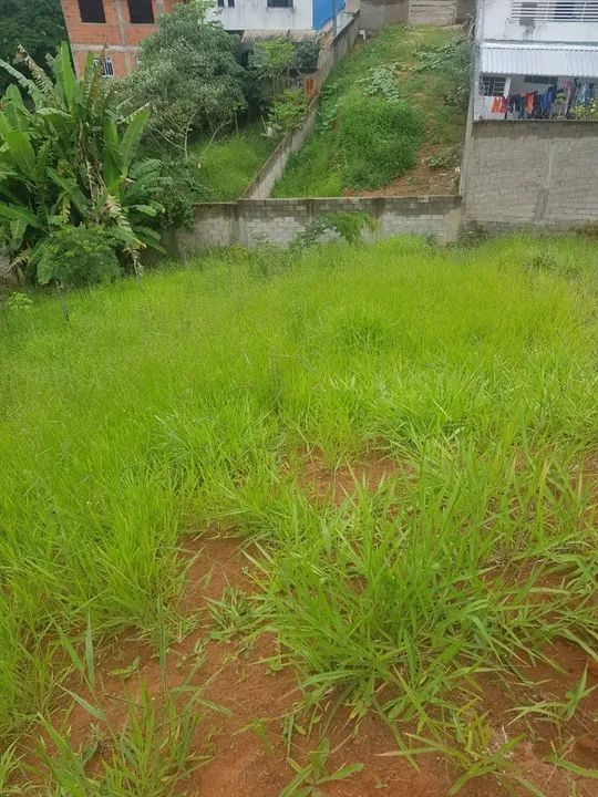 Terreno lote - Foto 2