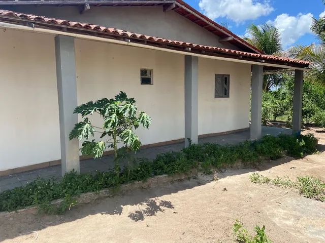 Chácara Em Bom Conselho - PE - Foto 11