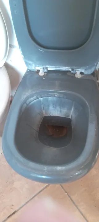 Vendo vaso sanitário