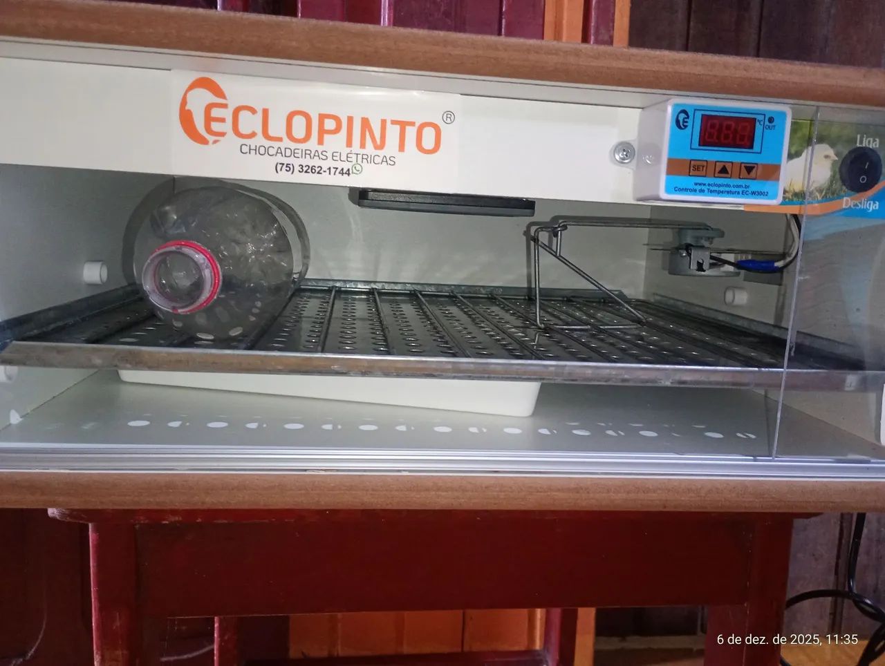 Chocadeira eclopinto - Foto 4