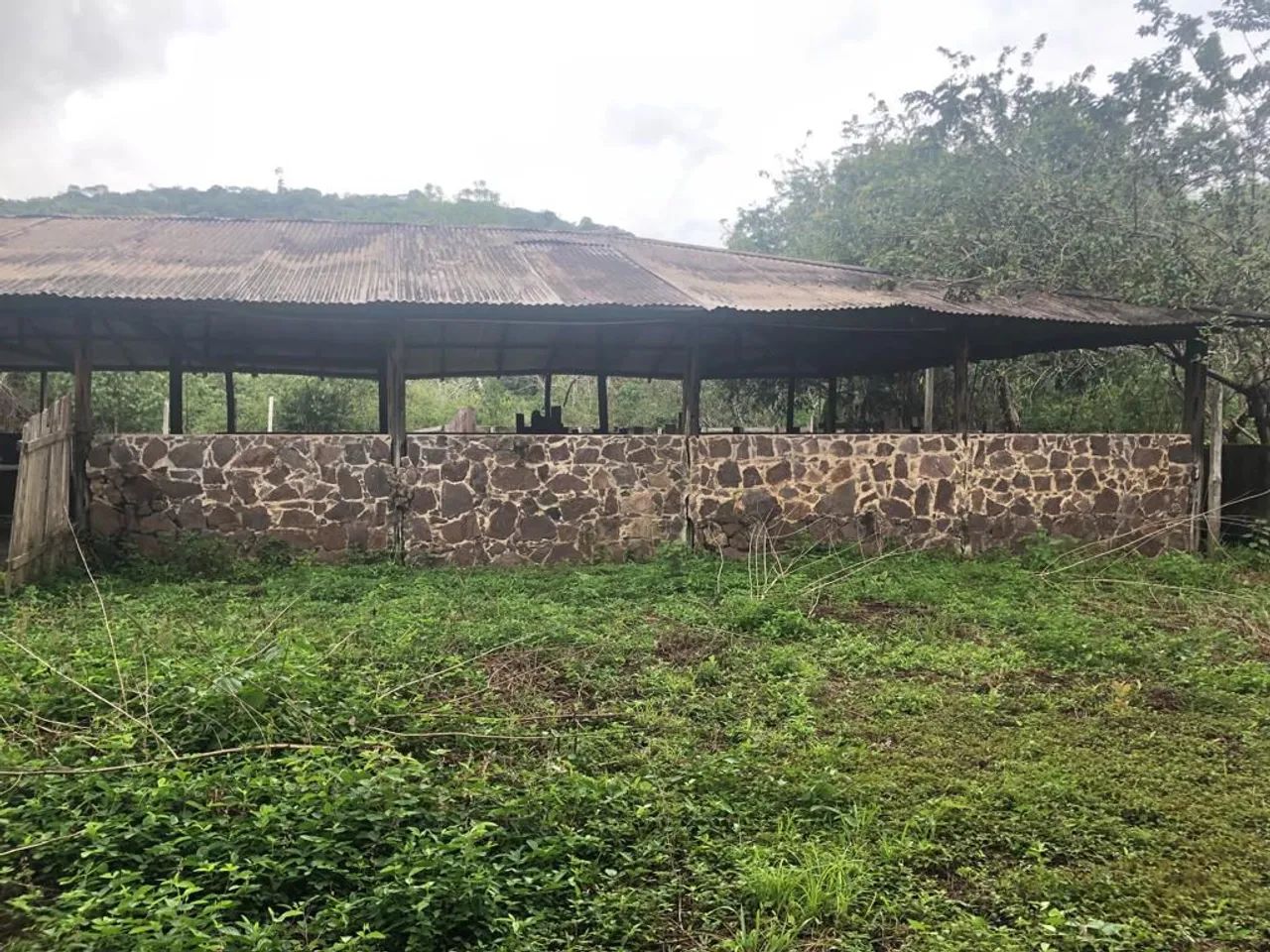 //Terreno com 270 hectares na BR 174 - Foto 4