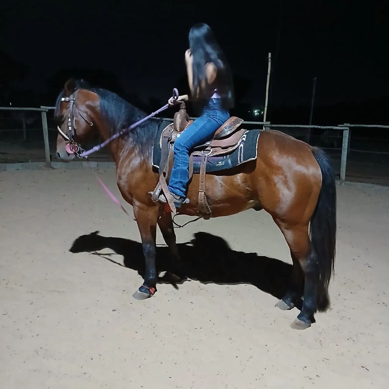 Cavalo iniciado em tambor e team penning - Foto 2