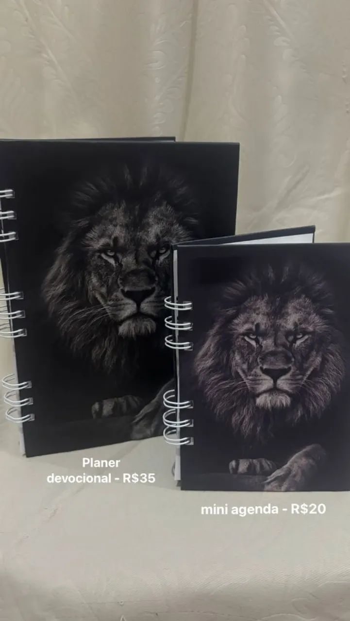 Agenda64960486829570120