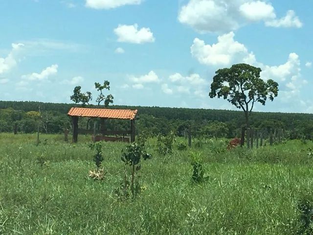 Fazenda de 117 Alq em Inocencia MS - Foto 2