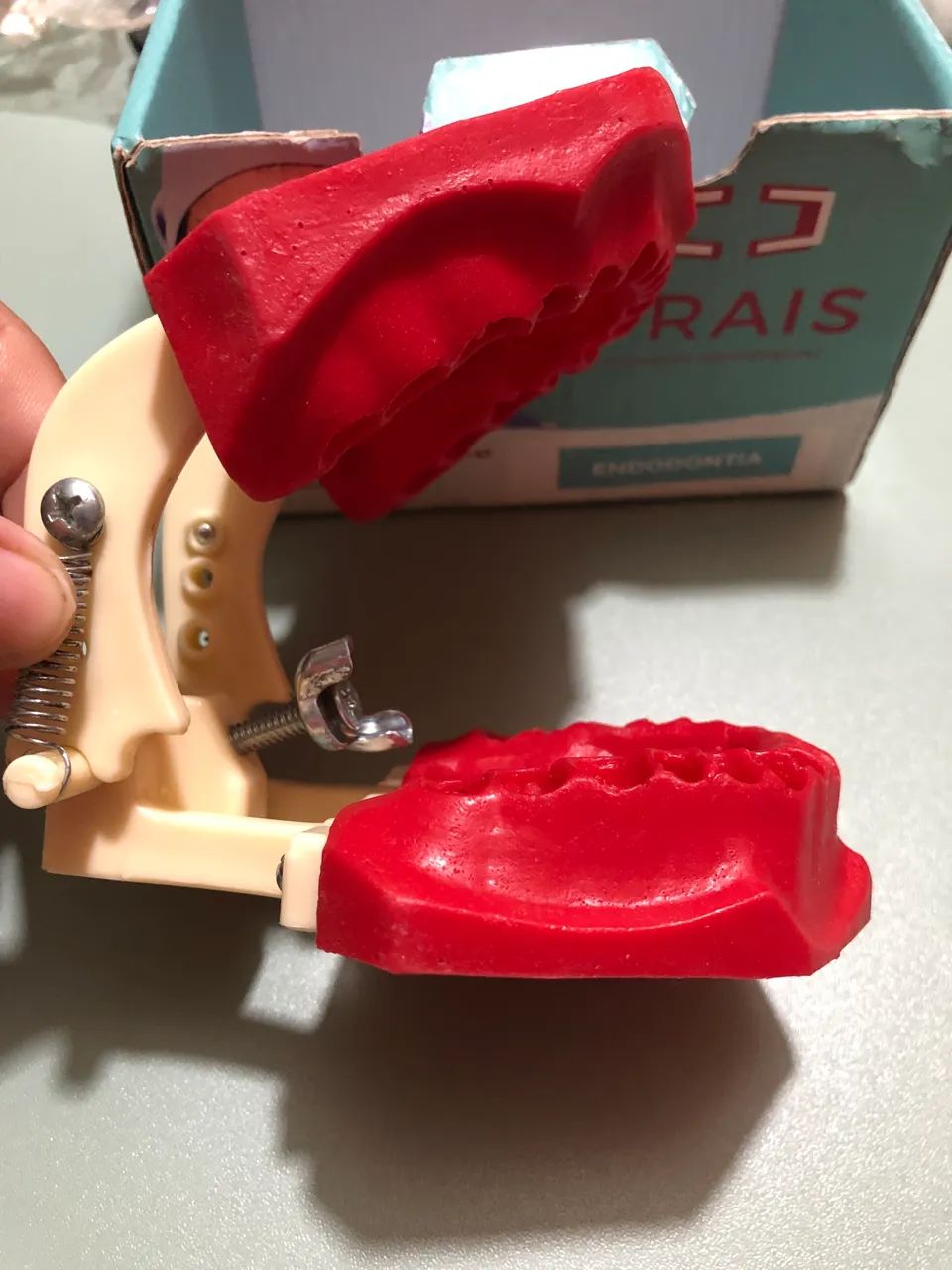 Maniquim Endodôntico 