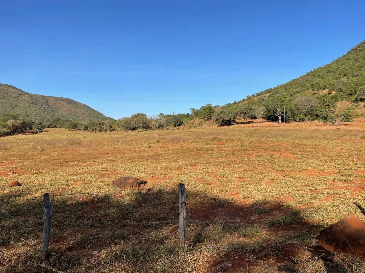 Fazenda disponível para venda  - Foto 4