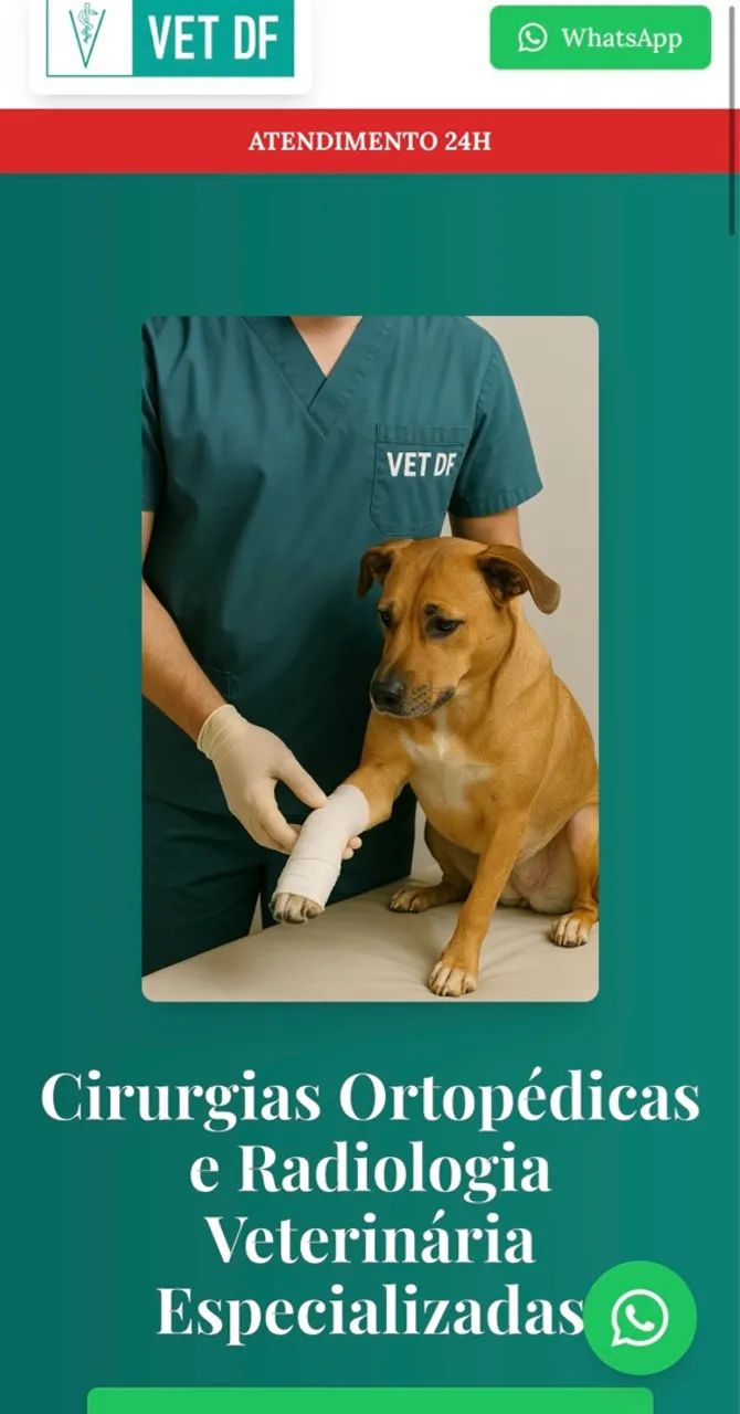Crie seu site a partir de R$ 300! - Foto 2