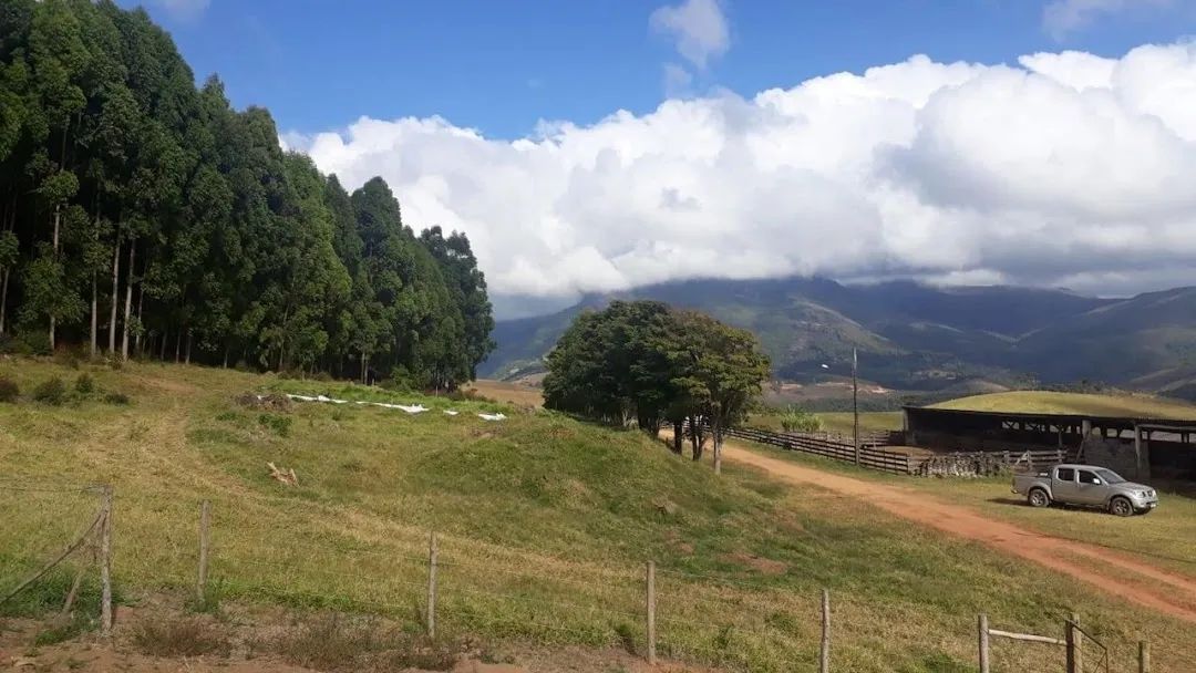 Fazenda de 505 hectares com curral completo e várias nascentes em Aiuruoca - MG. - Foto 2