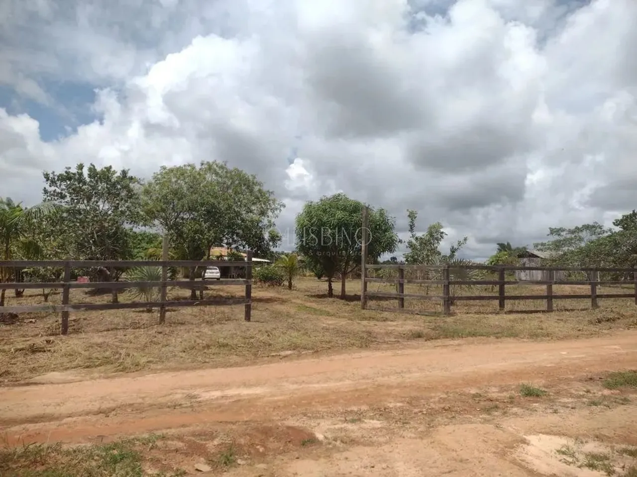 Chácara em Linha Verde - Canutama/AM