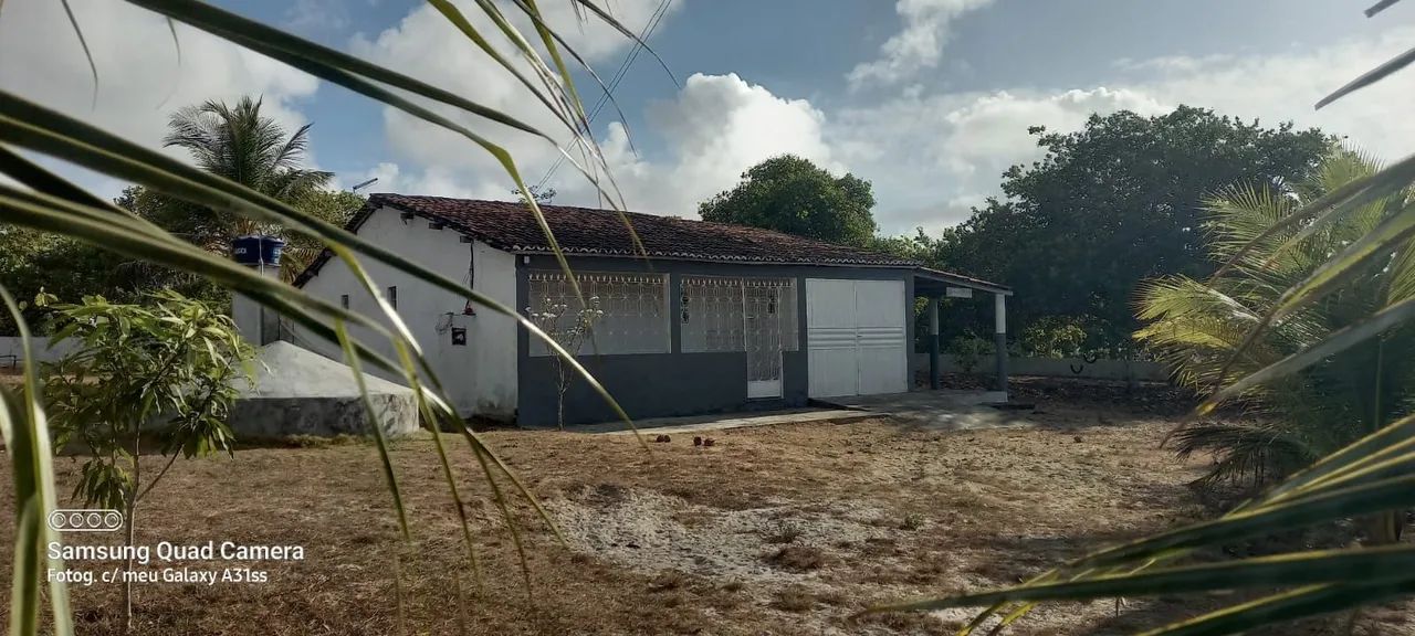 Vende-se Sítio - Foto 2