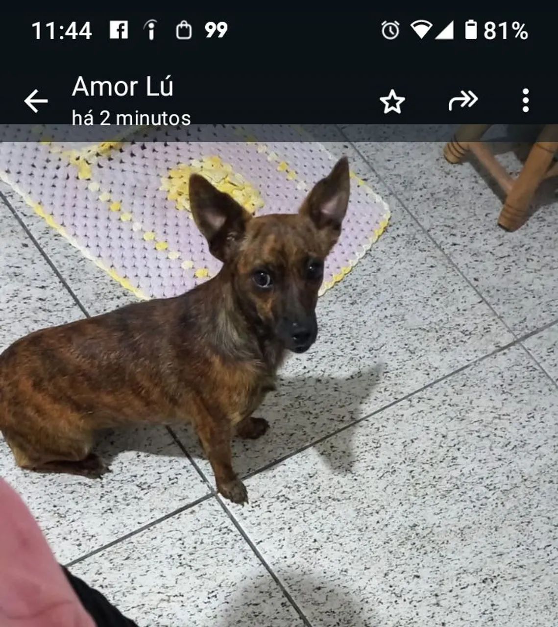 Doação  - Foto 2