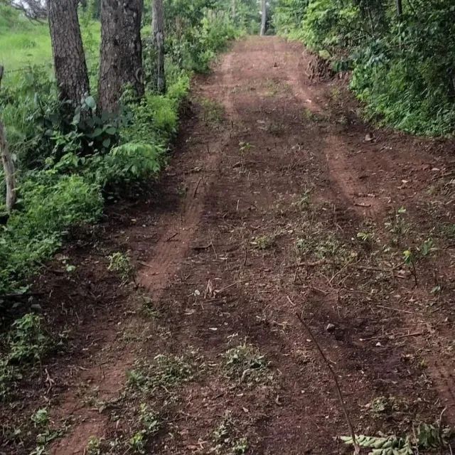 Chácara Em Caldazinha - Foto 4
