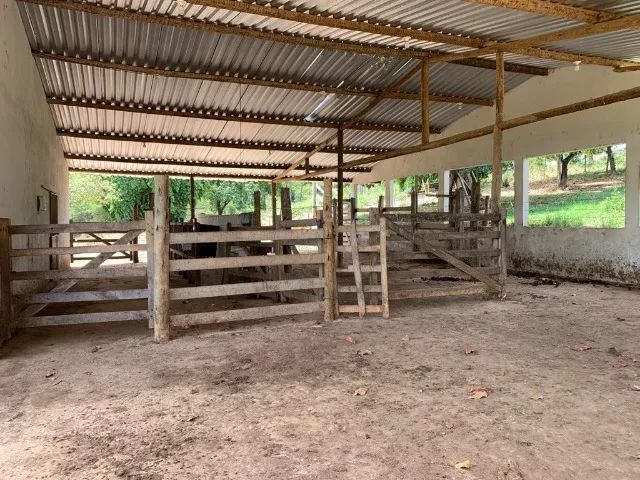Fazenda 47ha, 2 casas sede/caseiro plantação de mogno, manga Palmer, nascente e córrego. - Foto 4
