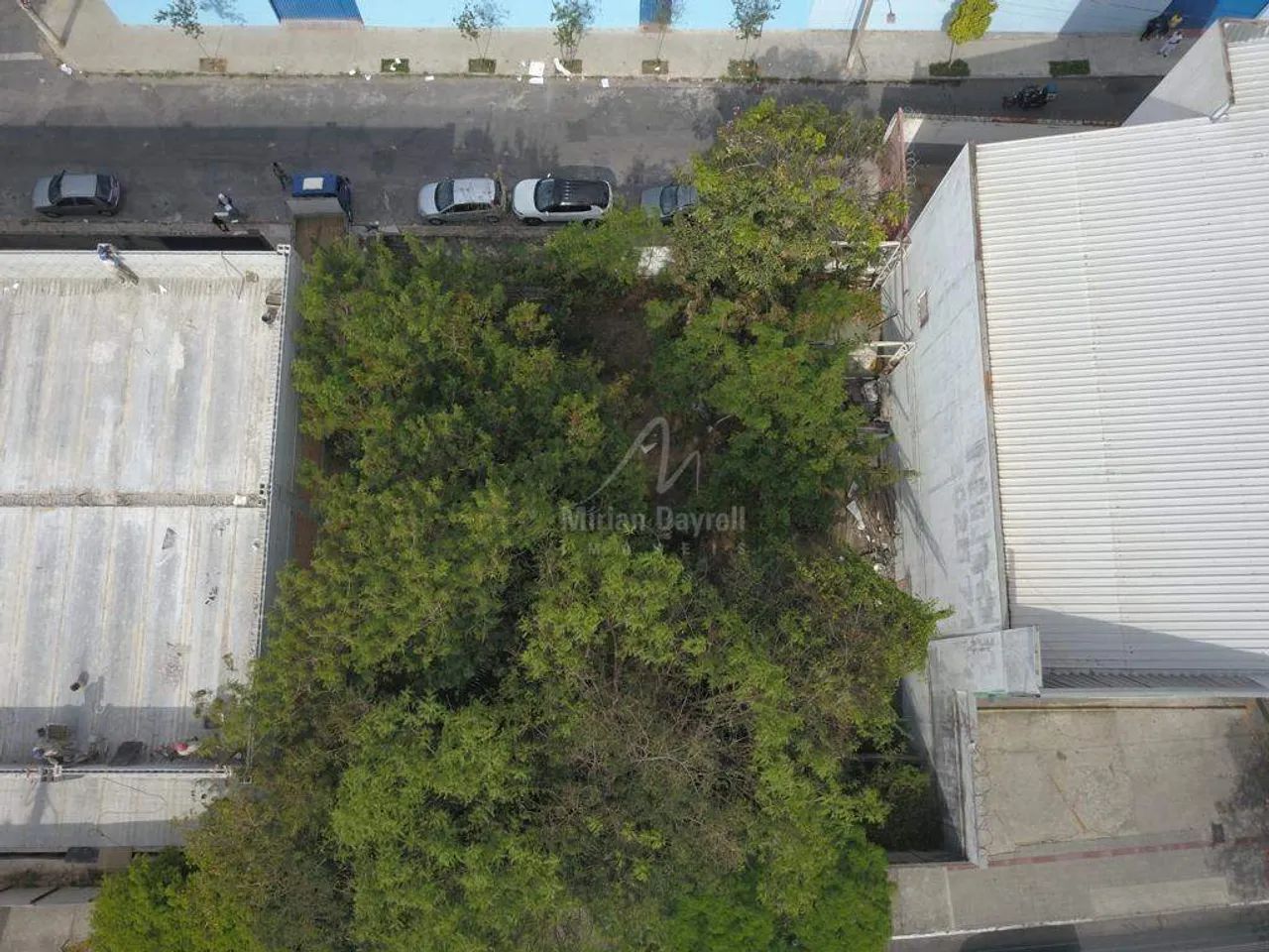 Lote comercial locação 608m² União - Foto 2