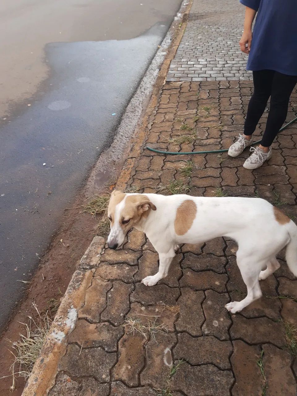 DOAÇÃO  - Foto 3
