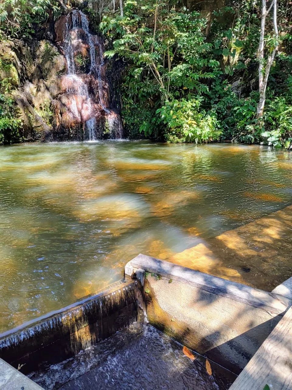 Fazenda em Heitorai-go  - Foto 3