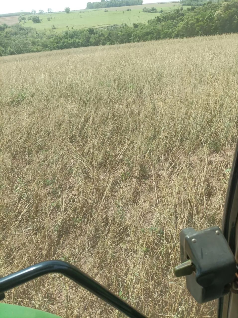 Sítio a venda em Campo Mourão Pr. - Foto 3