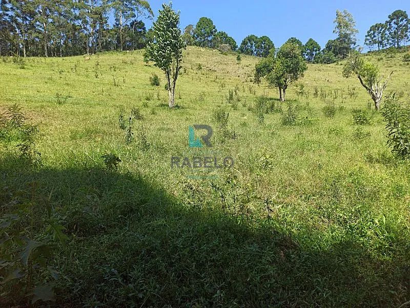 SÍTIO FORMADO PRÓXIMO AO PARQUE DA SERRA DO MAR EM CUNHA-SP - Foto 5
