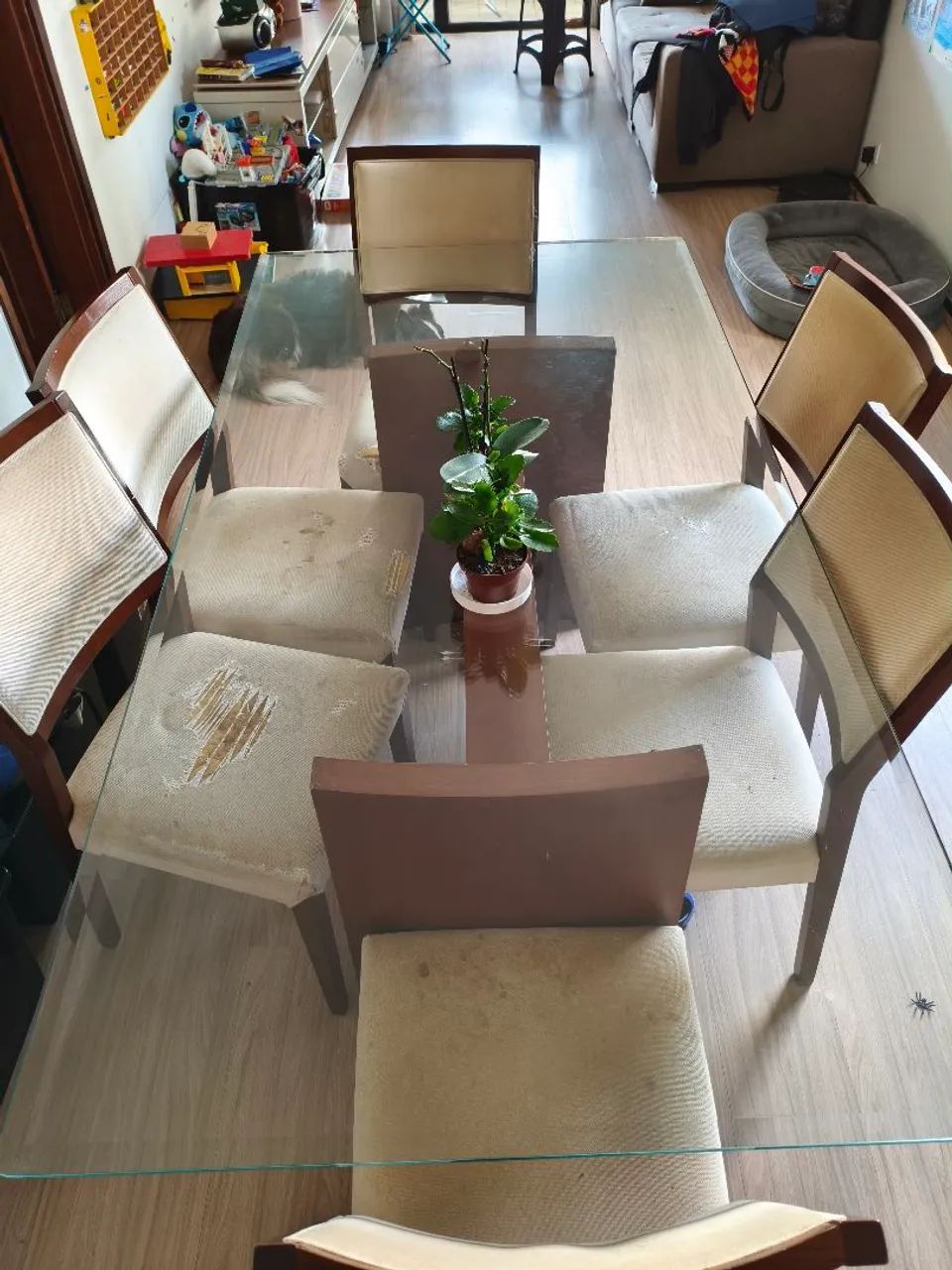 Mesa jantar 6 lugares - Foto 4