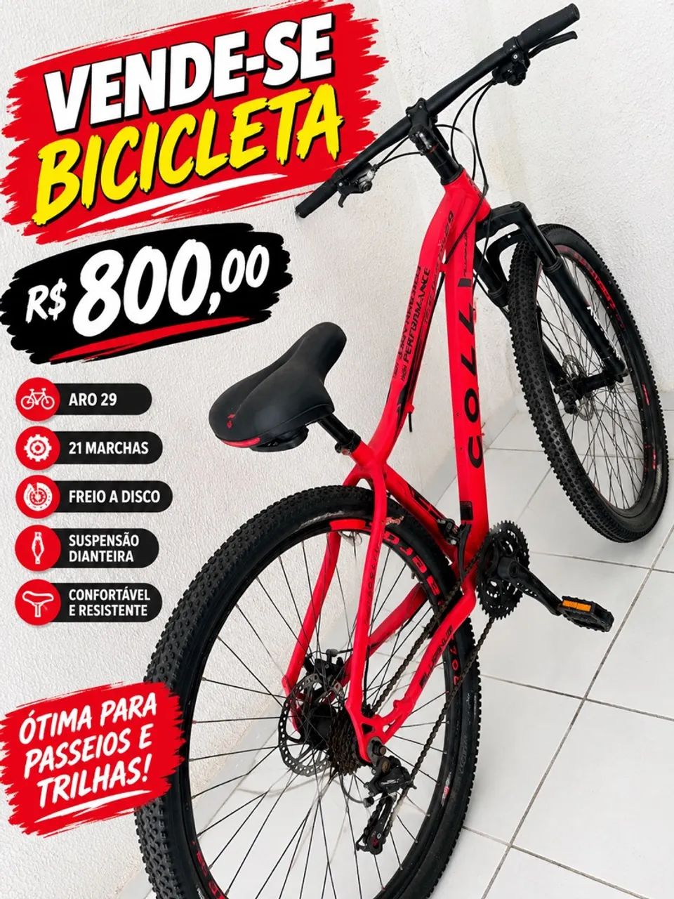 Bicicleta 