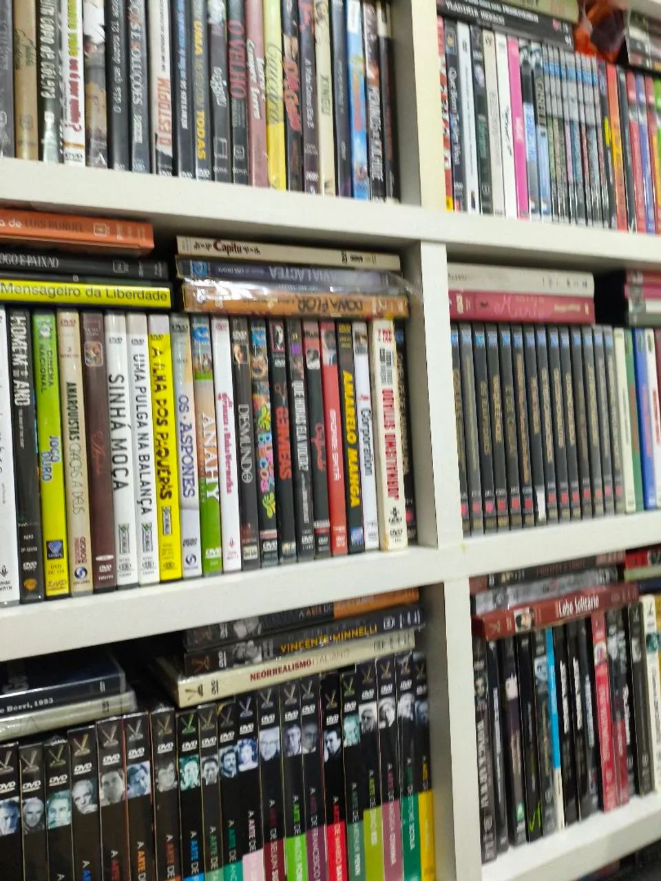 Dvds para Magno