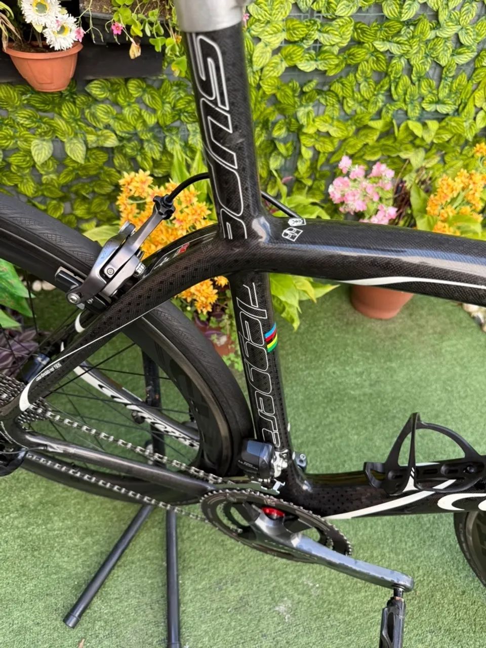 Speedy  Willier  superllegera  cento 1 - Foto 4