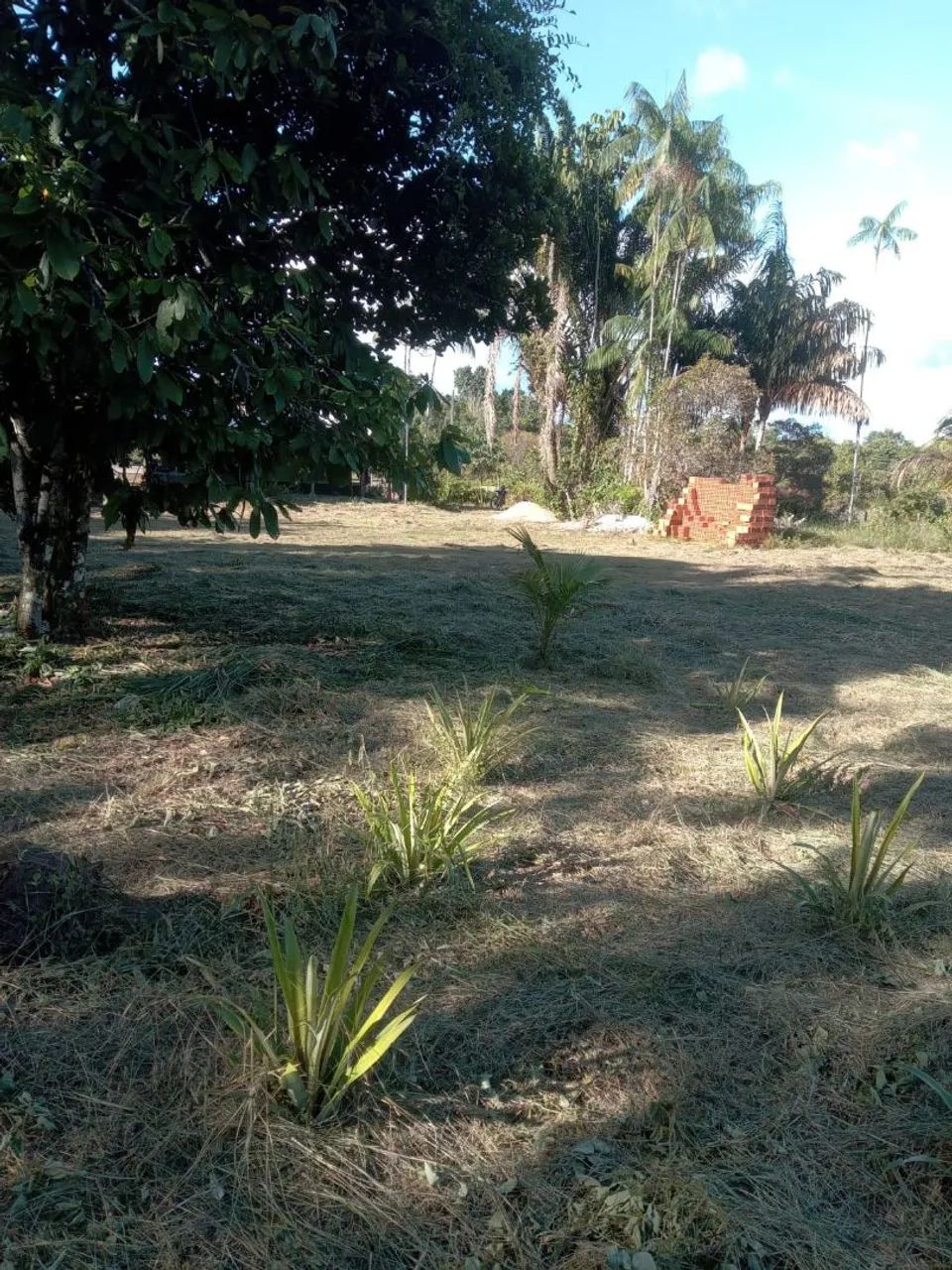 Terreno com sítio e casa em construção! - Foto 2