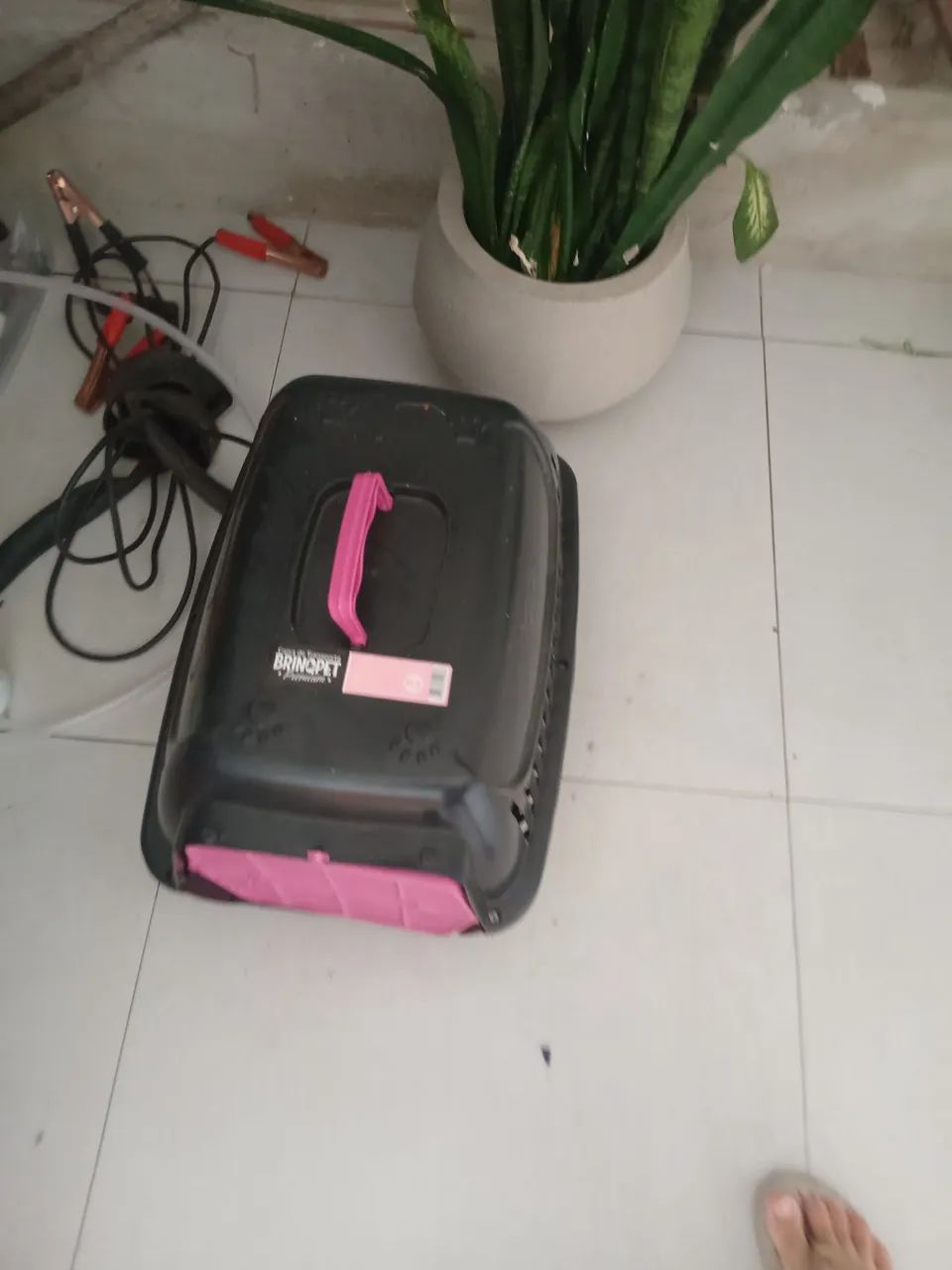 Caixa transporte 