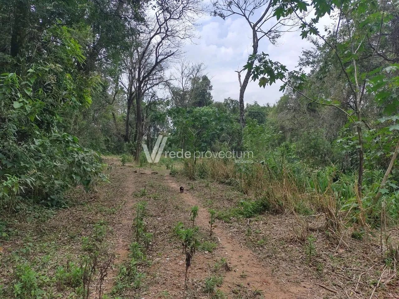 terreno - Dois Córregos - Valinhos - Foto 5