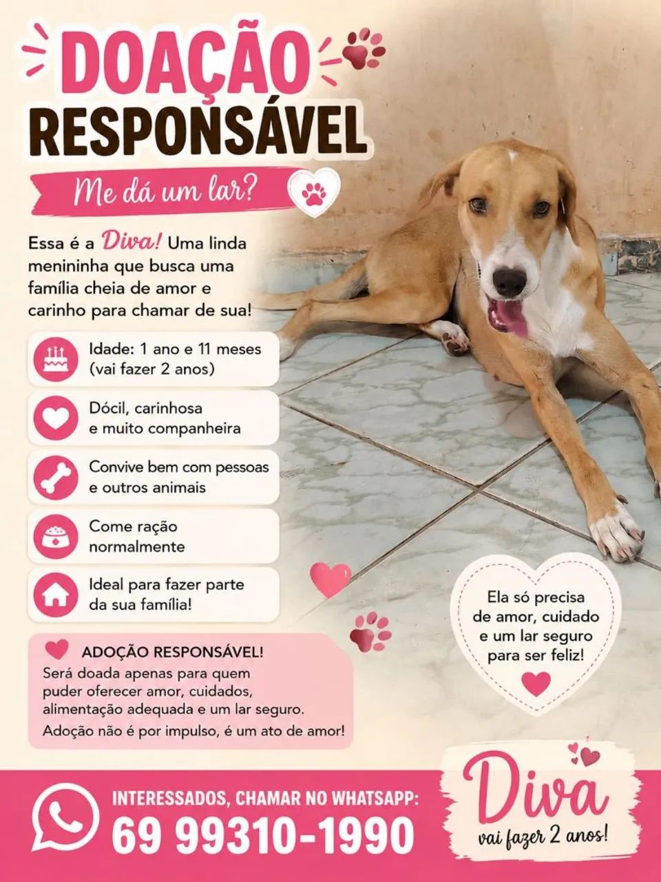 Doação responsável 