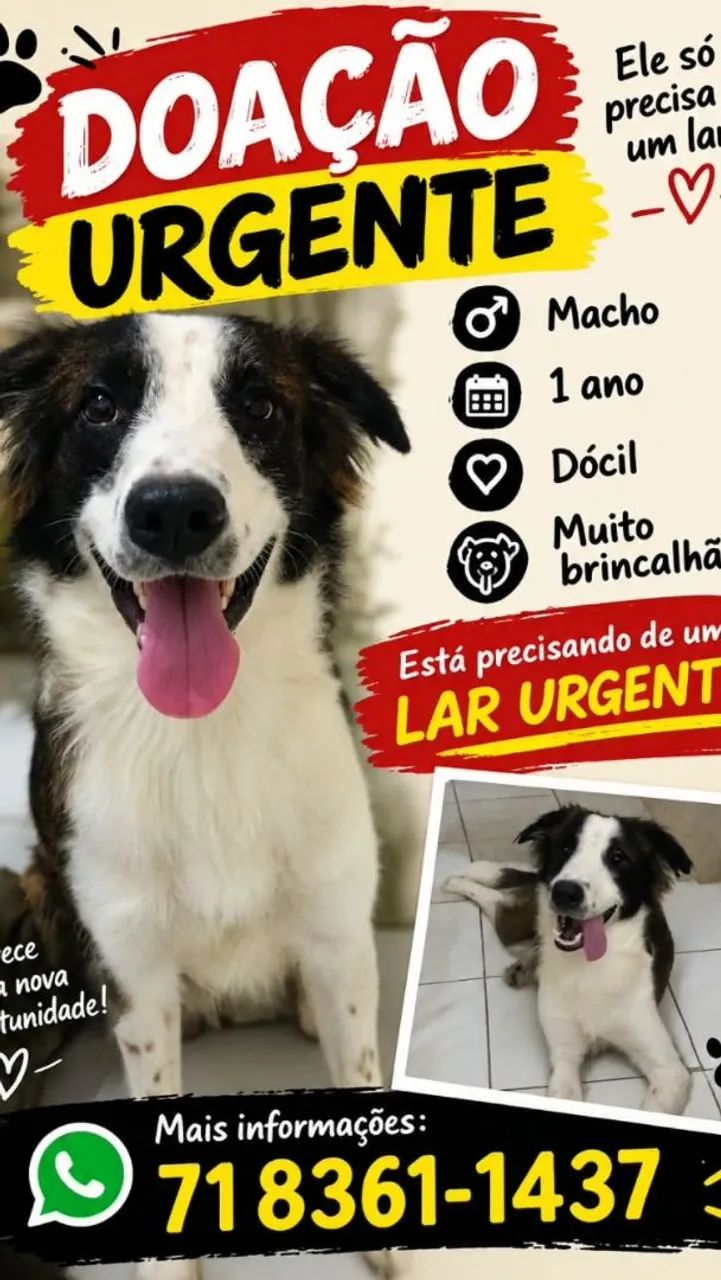 Doação 