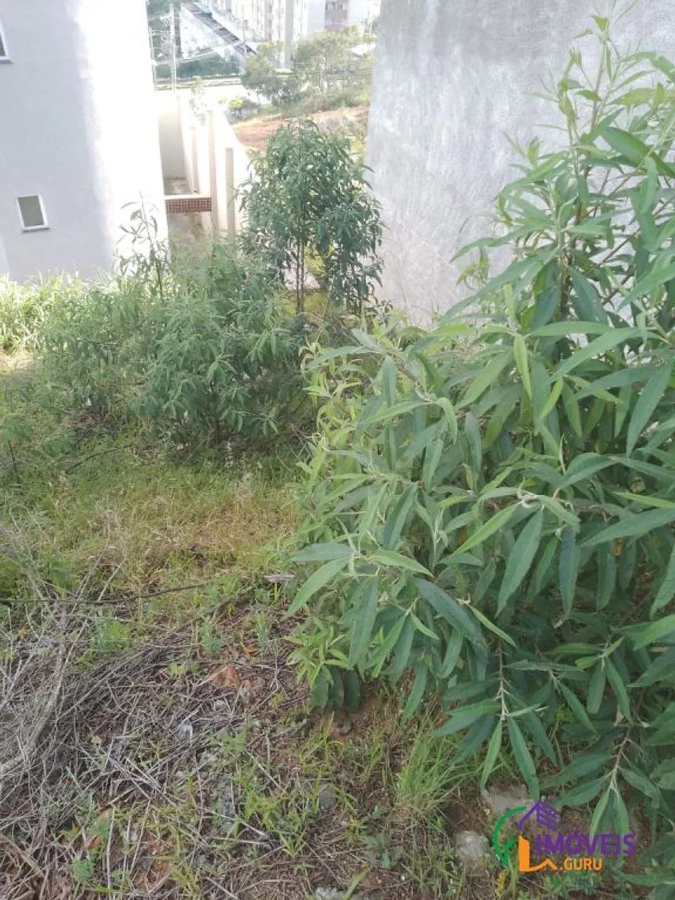 TERRENO - RESIDENCIAL VEREDAS - MG - Foto 4