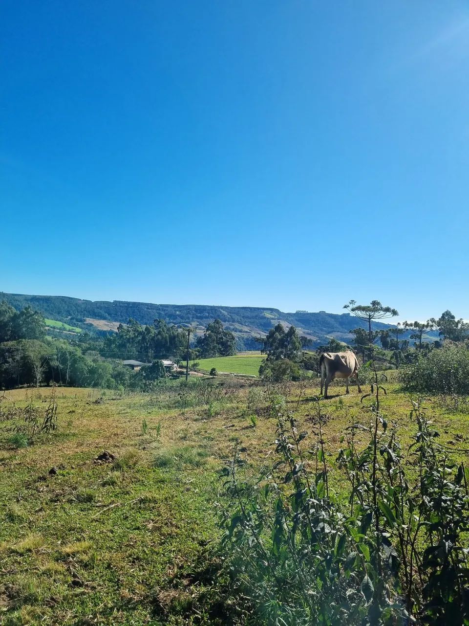 Vendo ou troco $120.000 - Foto 4