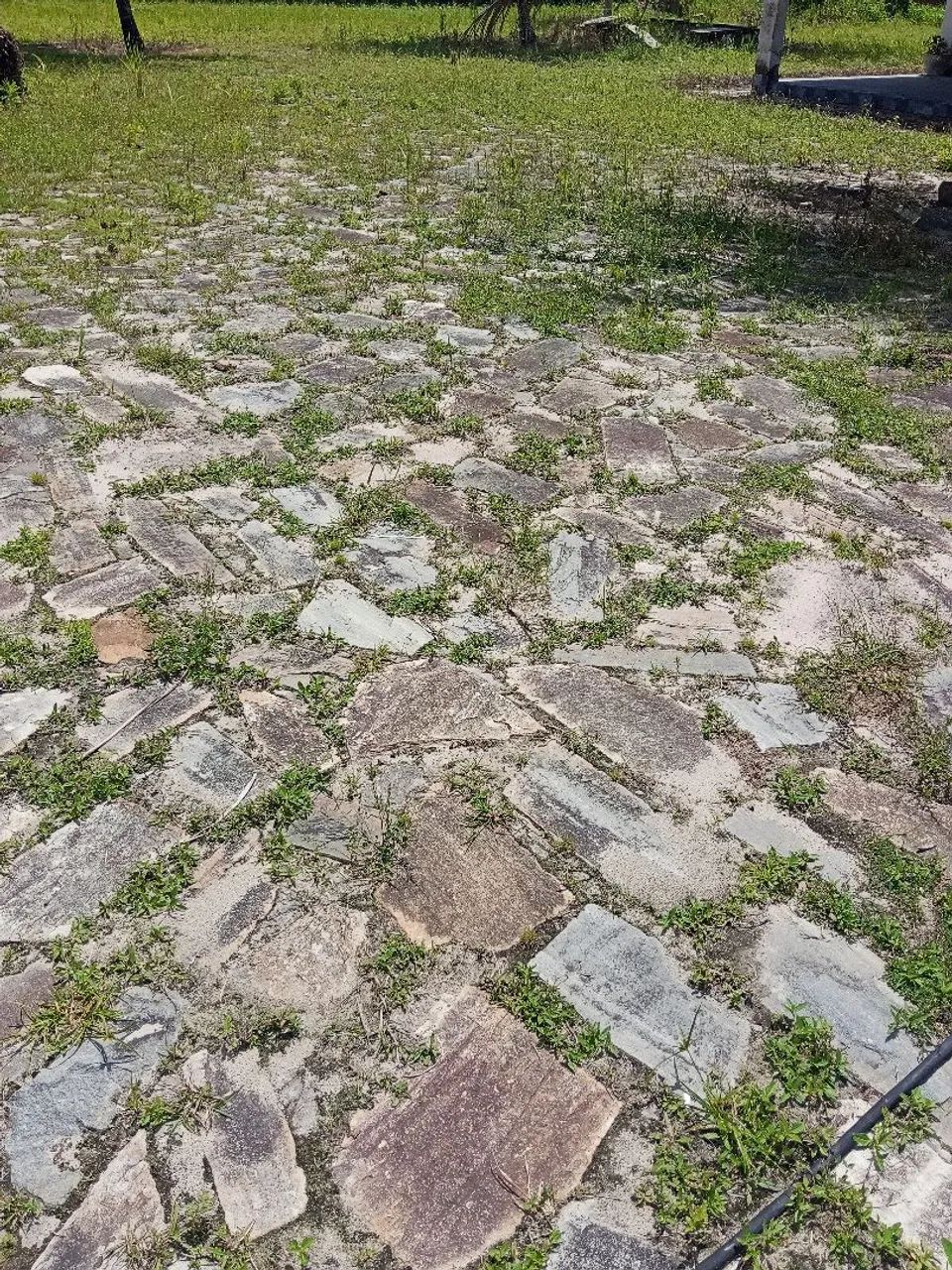 Sítio localizado no centro da cidade  - Foto 4