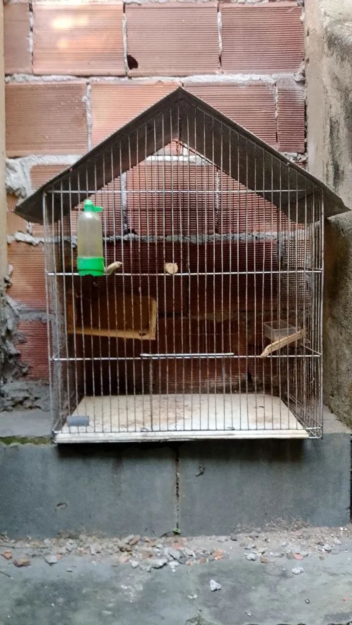Gaiola de Ferro - Foto 2
