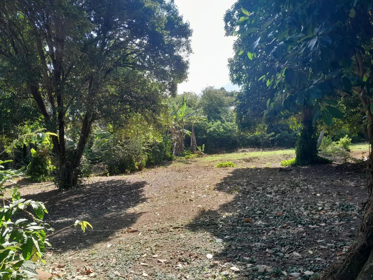 Vende-se mini sítio  - Foto 5