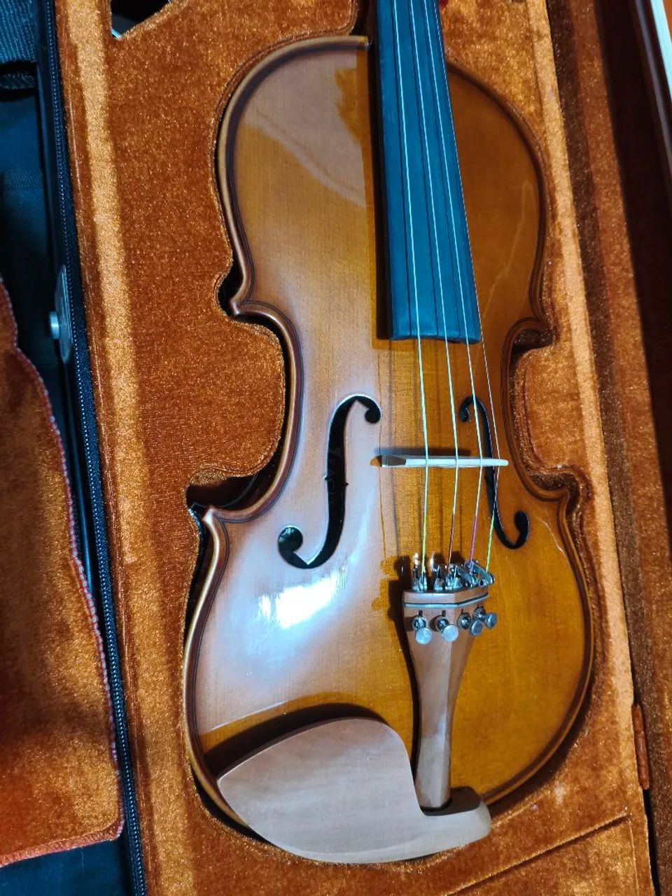Violino eagle ve 441 4/4 - Foto 2