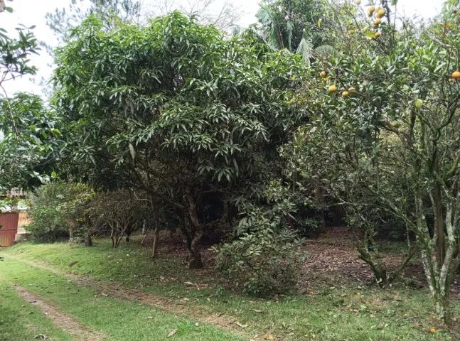 Chácara em Parque das Varinhas área 2100m2 - Foto 5