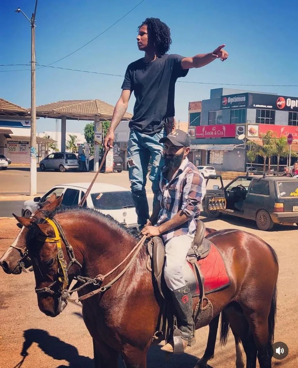 vendo cavalo mangalarga machador 