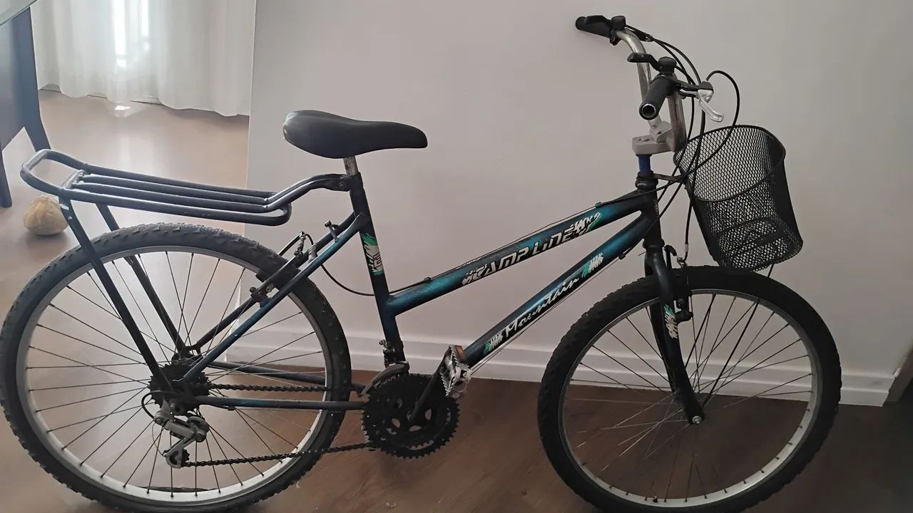 Bike com garupa e cestinha 