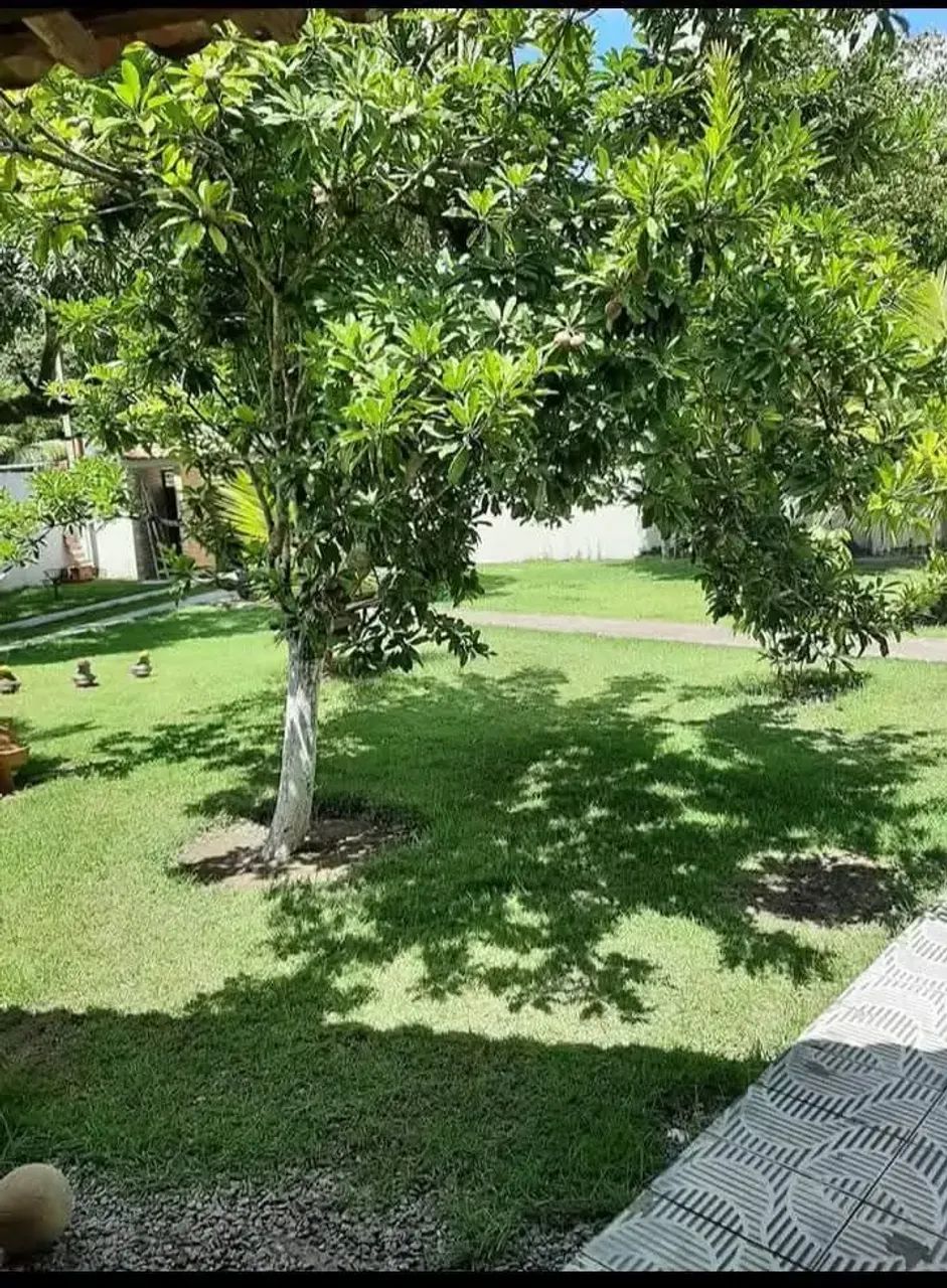 Áreas à venda, NOVA SATUBA, Satuba, AL - Foto 4