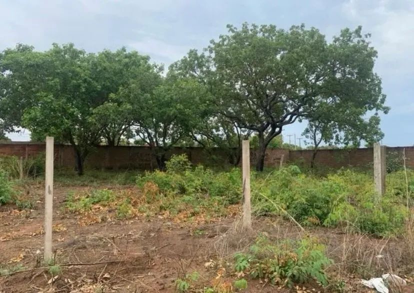 Lote 325 m2 13x23m - Foto 2