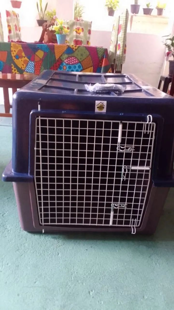 Casinha de pet
