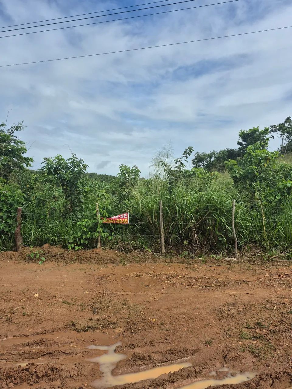 Terreno na entrada de Carmópolis