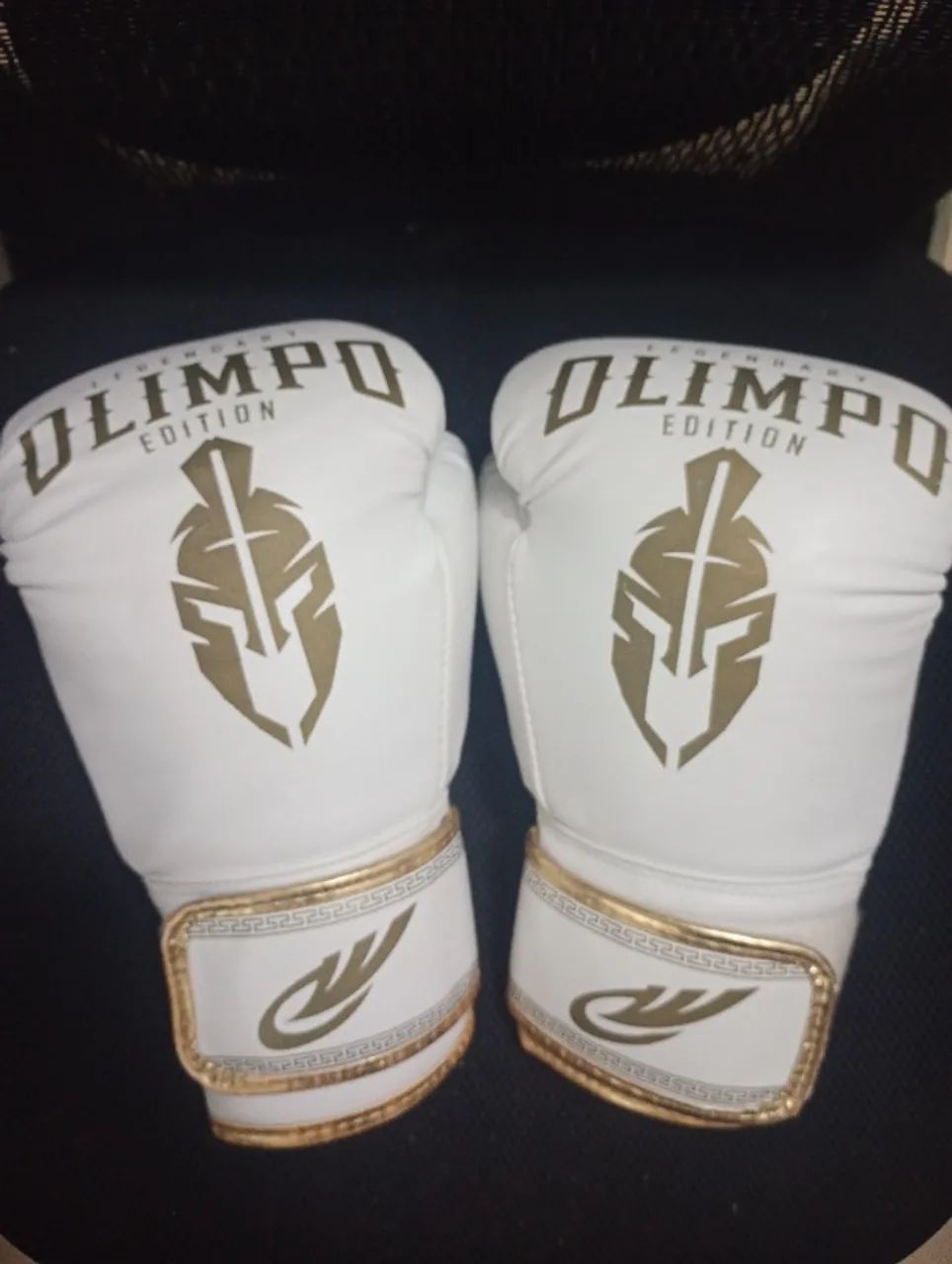 Luva de boxe e Muay Thai 16oz